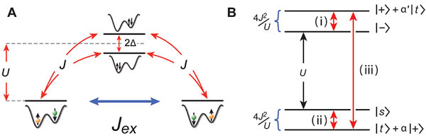 Picture 2 of Observe super-exchange interactions in cold atomic systems and optical networks