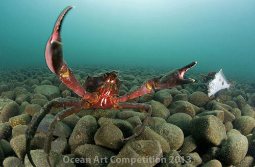 Picture 10 of Ocean colors of 2013