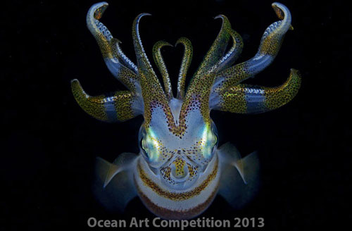 Picture 11 of Ocean colors of 2013