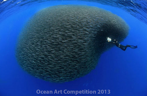 Picture 3 of Ocean colors of 2013