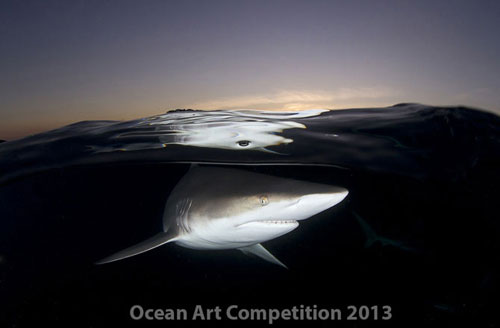 Picture 4 of Ocean colors of 2013