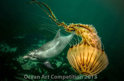 Picture 5 of Ocean colors of 2013