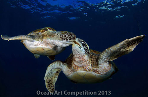Picture 9 of Ocean colors of 2013