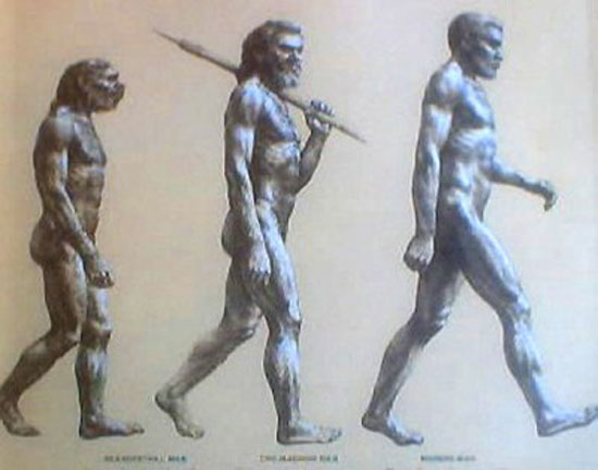 Picture 1 of Odd myths in science