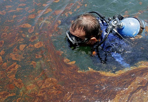 Picture 1 of Oil spill in America