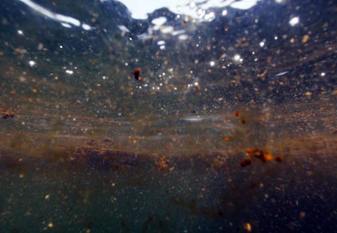 Picture 2 of Oil spill in America