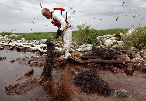 Picture 3 of Oil spill in America