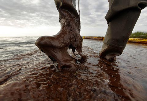 Picture 8 of Oil spill in America
