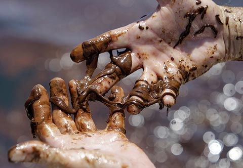 Picture 9 of Oil spill in America