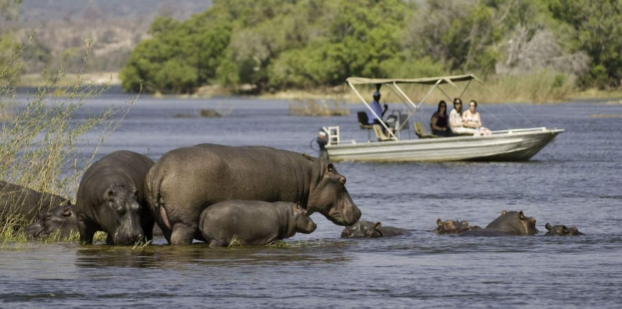 Picture 10 of Okavango Plain - World Natural Heritage in Botswana