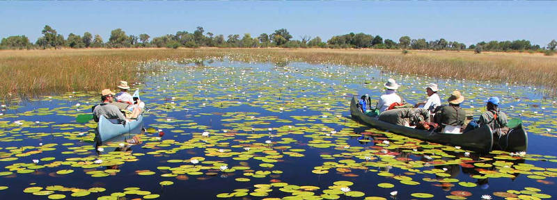 Picture 9 of Okavango Plain - World Natural Heritage in Botswana