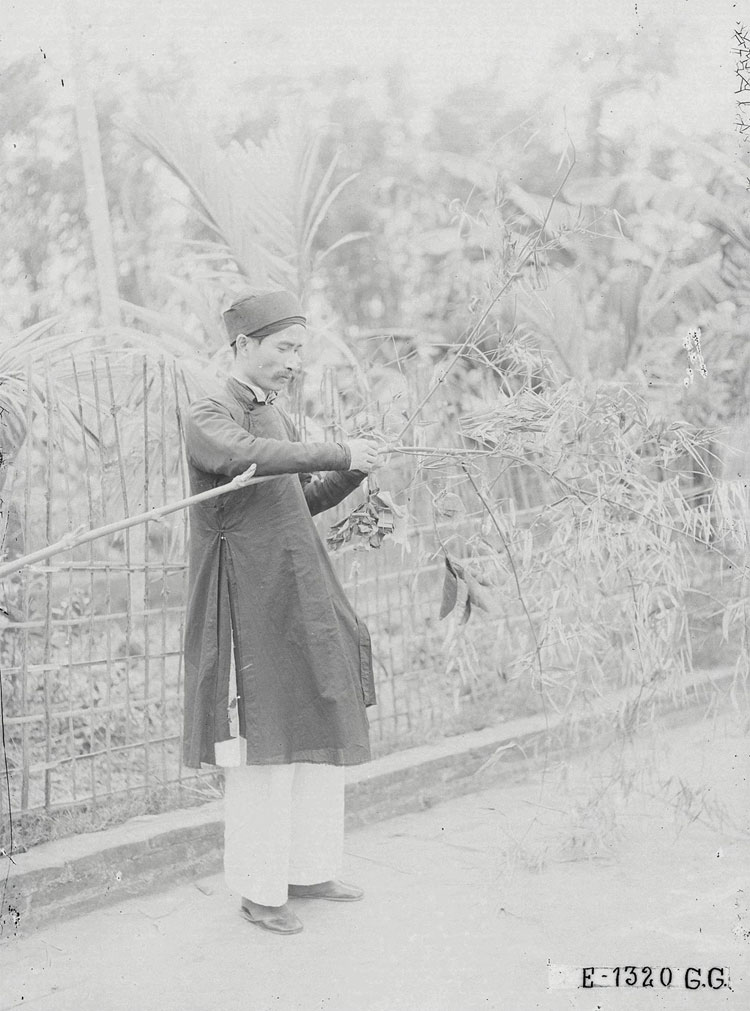 Picture 6 of Old New Year Hanoi through precious documentary photos