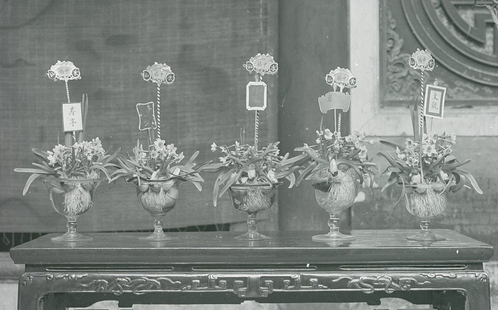 Picture 8 of Old New Year Hanoi through precious documentary photos
