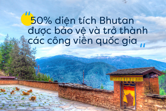 Picture 4 of On the occasion of International Happiness, visit the happiest country in the world