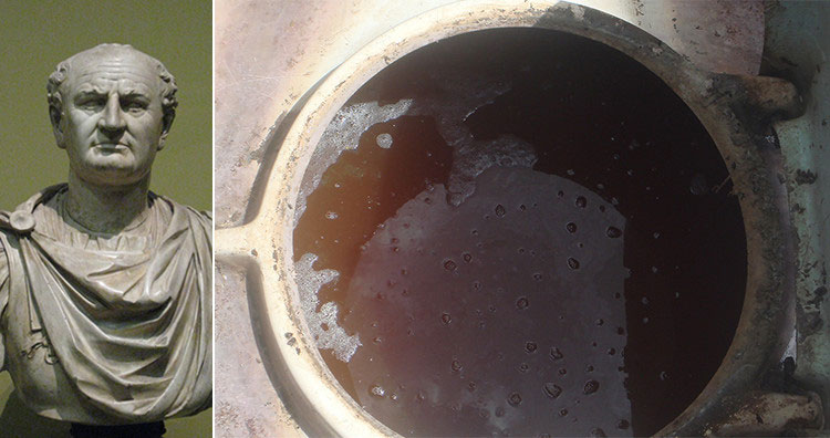 Picture 1 of One of the dreaded rules of the Roman emperor: Taxing urine