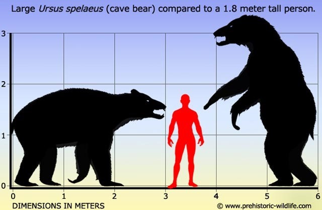 Picture 1 of One of the most feared prehistoric beasts was extinct because of eating vegetables