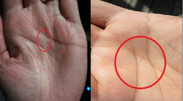 Picture 3 of Only 3% of people in the world own this finger line, what is it special?