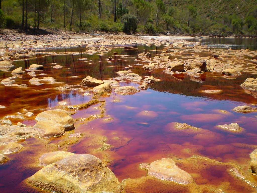 Picture 1 of Only standing water areas can be deadly