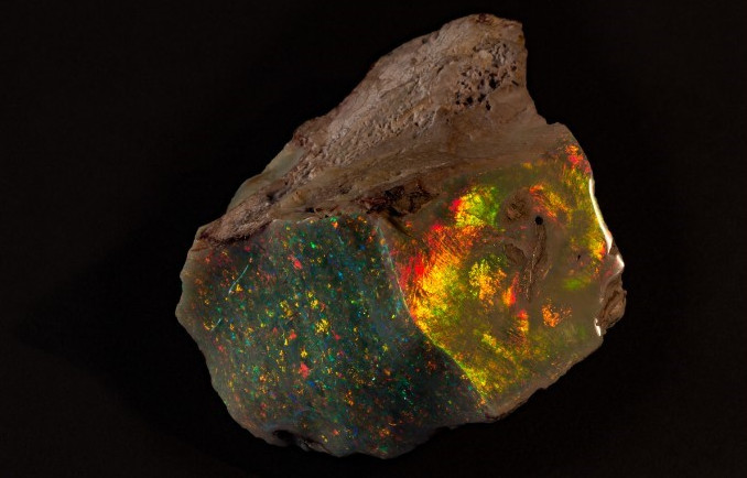 Picture 1 of Opal stone $ 600,000 for the first time to the public