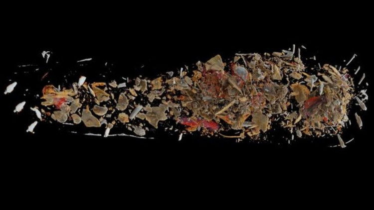 Picture 2 of Open an empty coffin in the museum, discover a 2,600-year-old mummy