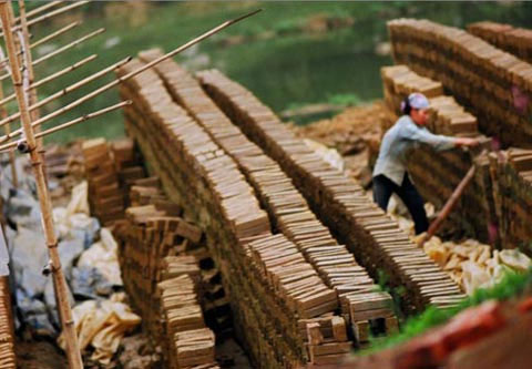Picture 7 of Optimal materials from nature