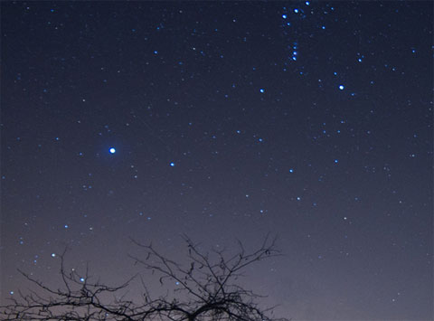 Picture 4 of Orionids meteor shower
