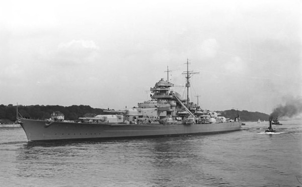 Picture 2 of Oscar - the witness cat of 5 consecutive shipwrecks in World War 2