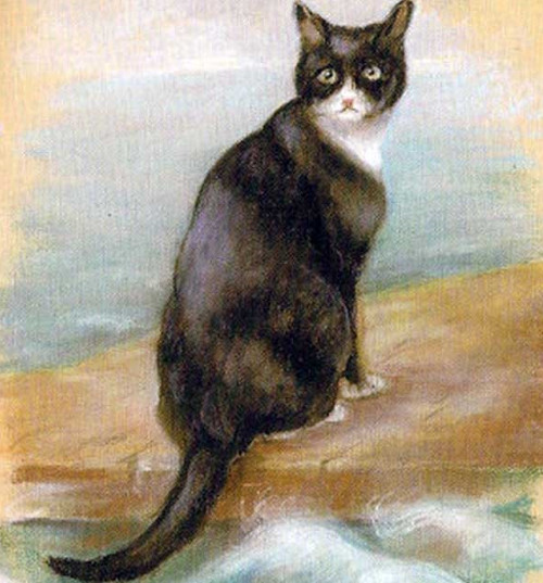 Picture 4 of Oscar - the witness cat of 5 consecutive shipwrecks in World War 2