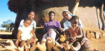 Picture 4 of Ostrich's Secret