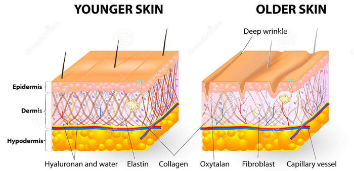 Picture 7 of Our feet are dying from the age of 25 without you knowing