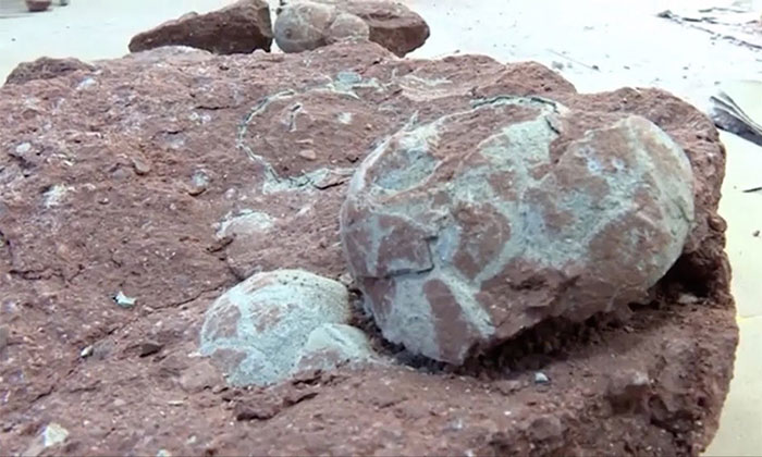 Picture 4 of Outstanding archaeological findings in 2019