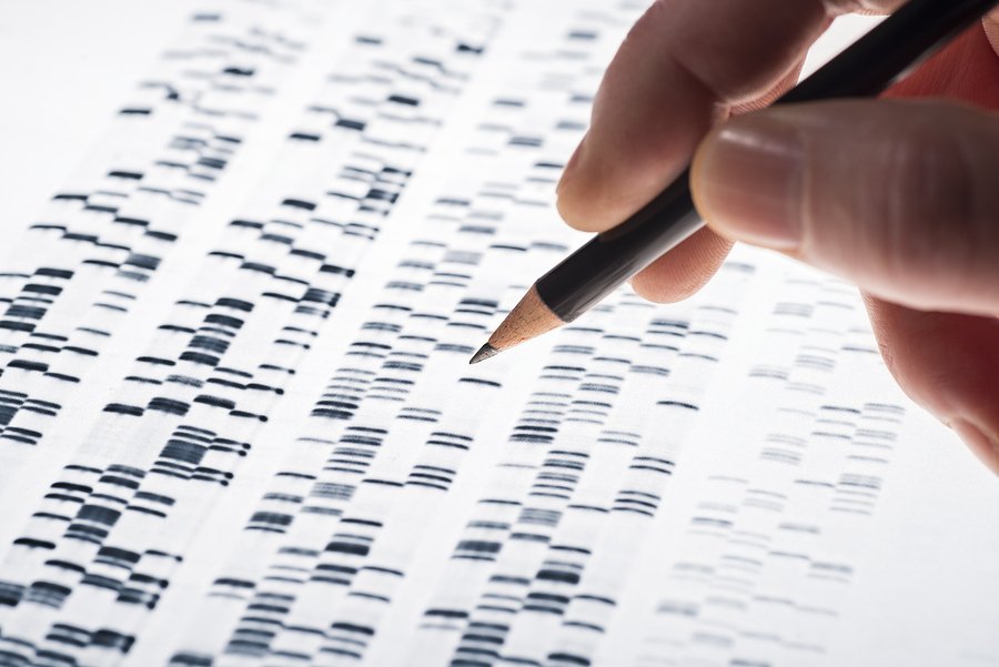 Picture 7 of Outstanding scientific findings in 2015