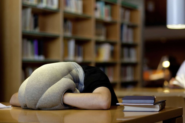 Picture 4 of 'Overdose' nap is easy to die early?