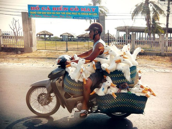 Picture 10 of Overload vehicles around the world