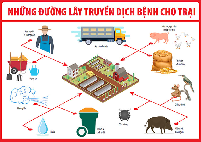 Picture 3 of Overview of cholera swine in Africa
