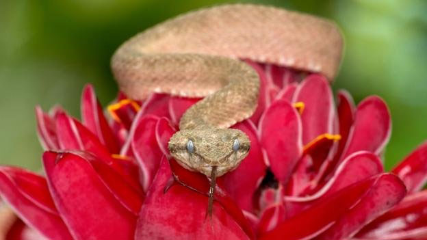Picture 5 of Overwhelming world of multicolored creatures