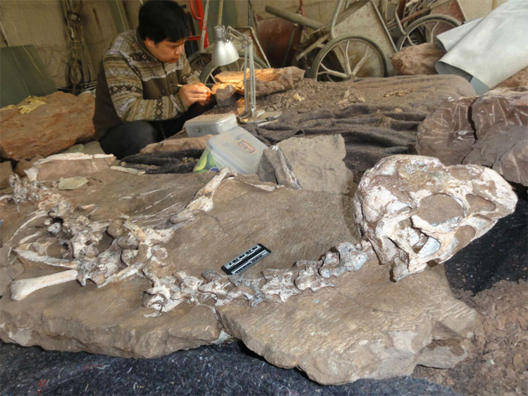 Picture 2 of Painful death in the ditch of the dinosaurs 66 million years ago