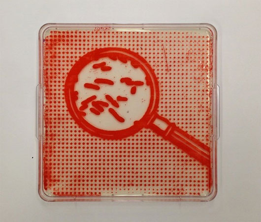 Picture 6 of Painting portraits drawn from pathogenic bacteria