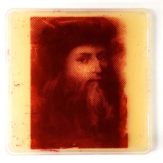 Picture 8 of Painting portraits drawn from pathogenic bacteria