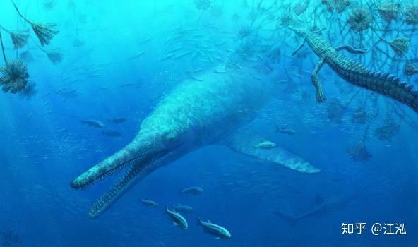Picture 5 of Paleontologists discovered the fat on the body of the fish lizard 180 million years ago