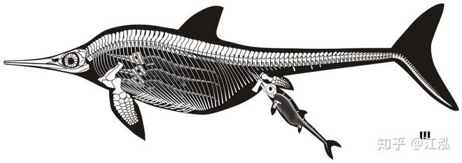 Picture 8 of Paleontologists discovered the fat on the body of the fish lizard 180 million years ago