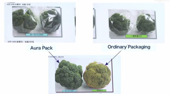 Picture 1 of Paper keeps food fresh for months