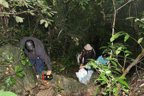 Picture 1 of Paradise Cave breaks the record of length