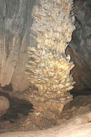 Picture 3 of Paradise Cave breaks the record of length