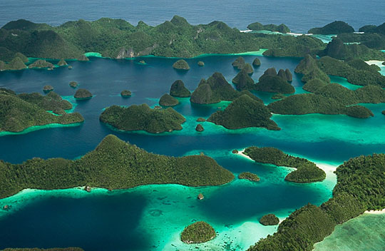 Picture 1 of 'Paradise' for sharks in Southeast Asia