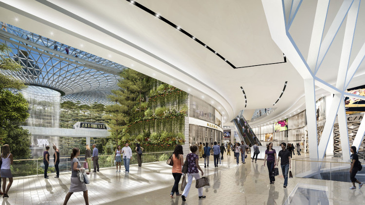Picture 7 of 'Paradise' inside Singapore airport