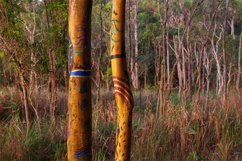 Picture 8 of 'Paradise Island' in Australia