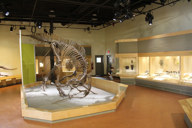 Picture 12 of Park of dinosaur fossils - Canada