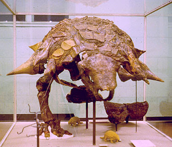 Picture 14 of Park of dinosaur fossils - Canada