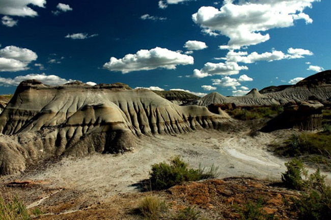 Picture 16 of Park of dinosaur fossils - Canada
